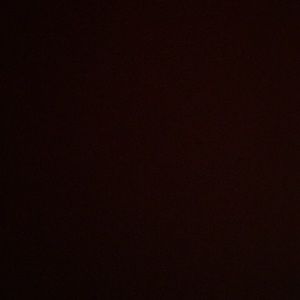 Meet your Posher, Betty